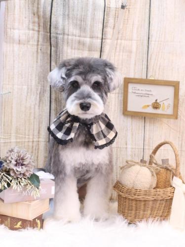 20241002ビッケくん